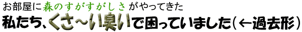 お部屋に森のすがすがしさがやってきた 私たち、くさーい臭いで困っていました(←過去形)