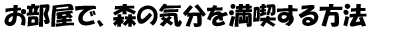 お部屋で、森の気分を満喫する方法